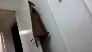 شاب مصري جايب شرموطة وبيحلف لها إن مافيش فلوس - سكس مصري مسرب