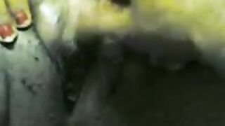 مصري جايب شرموطة في البيت ومش عارف ينيكها ازاي - سكس مصري